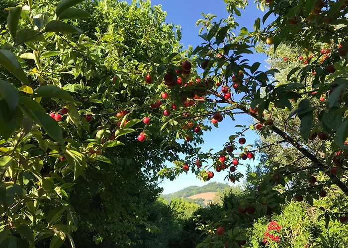 Agriturismo Ca\' Poldo