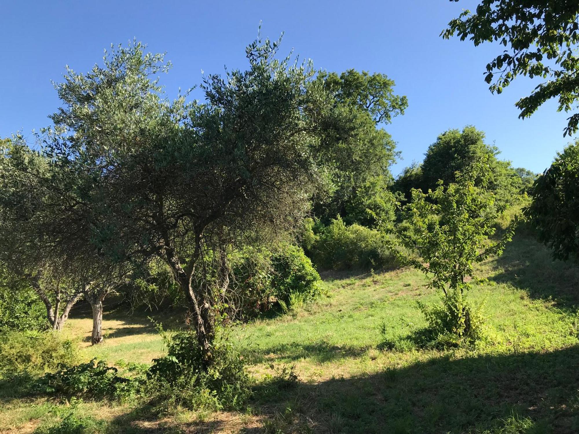 Ca' Poldo * Ancona