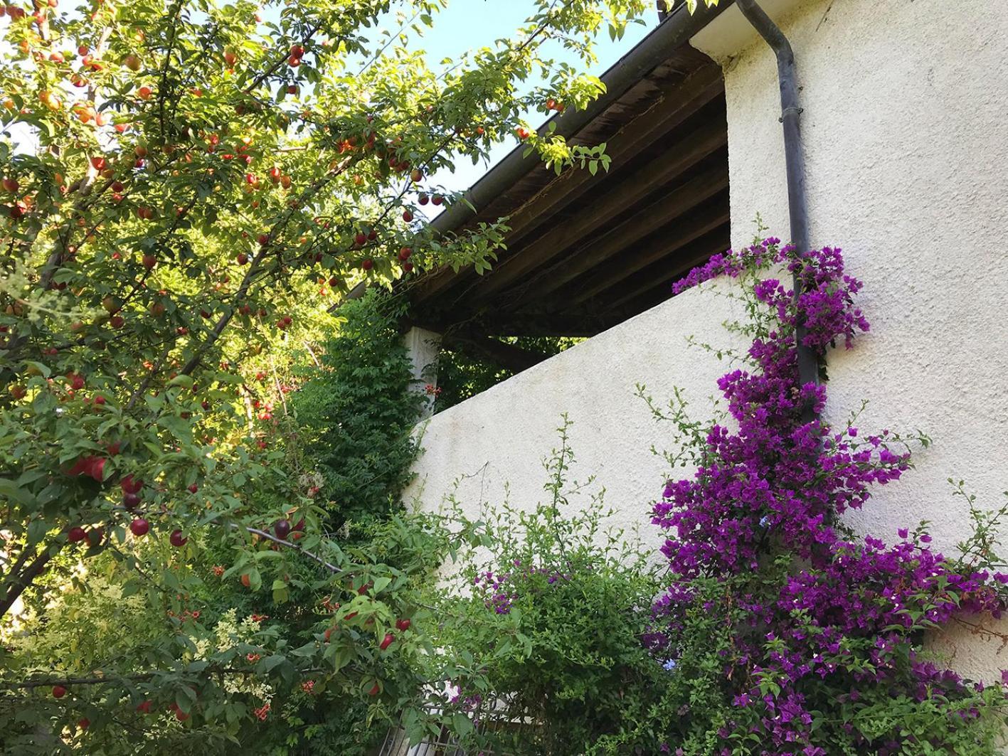 Farm stay Ca' Poldo