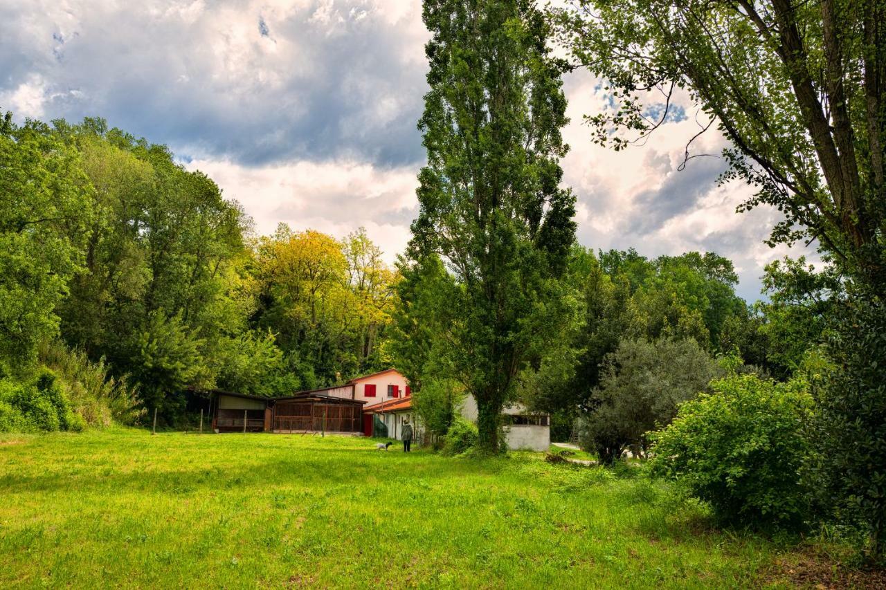 Ca' Poldo Farm stay Ancona